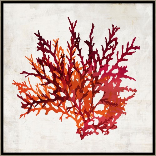 Pomegranate Coral I