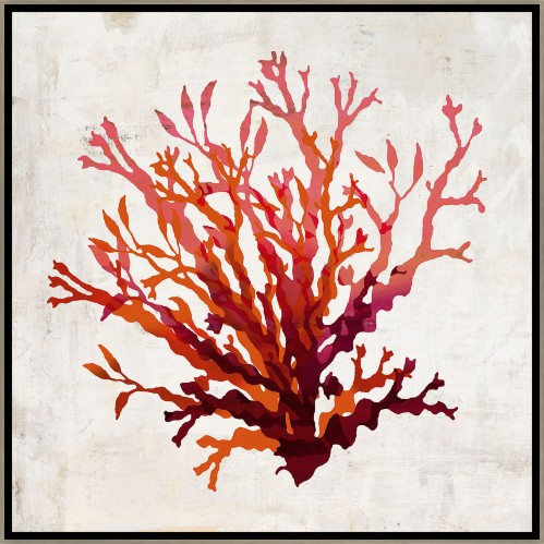 Pomegranate Coral II